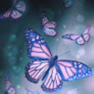 Meet your Posher, Anddy